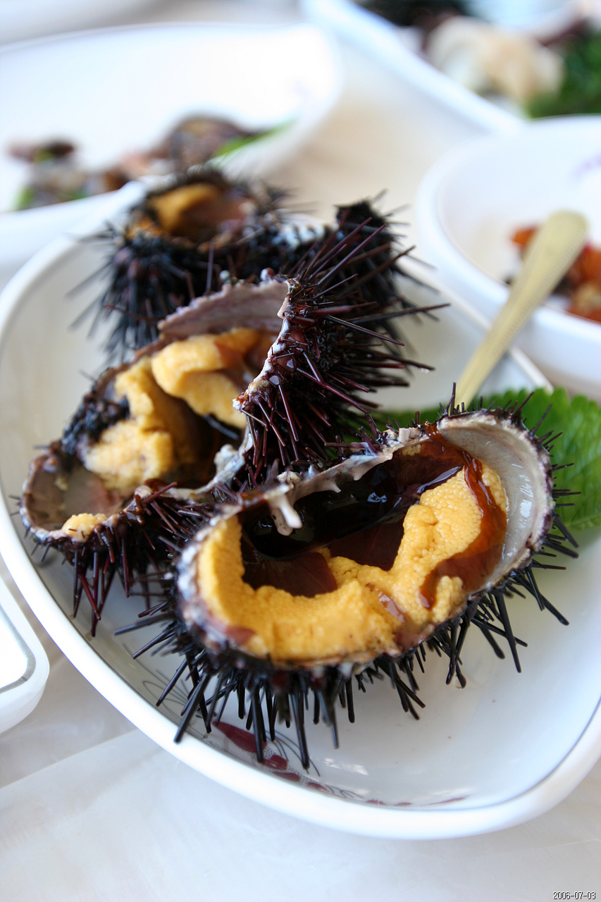 Hokkaido Uni market reference